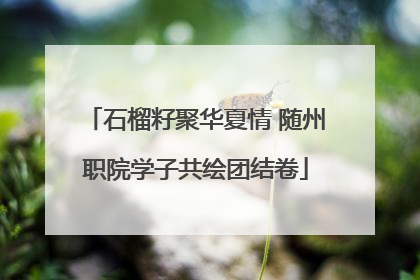 石榴籽聚华夏情 随州职院学子共绘团结卷